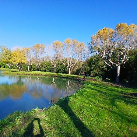 Domaine Du Lac De La Vallee La Roquette-sur-Siagne Eksteriør bilde